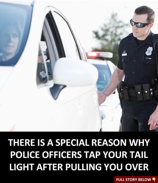 There Is A Reason Cops Tap Your Tail Light After Pulling You Over