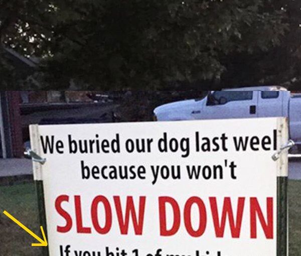 After dog is hit and killed by car, family’s warning sign sparks neighborhood conversation