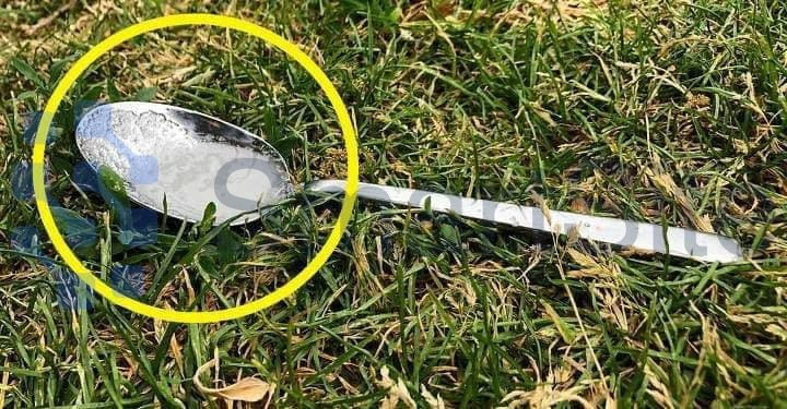 The reason why it’s crucial to put a spoon of sugar in your backyard before leaving the house is revealed.