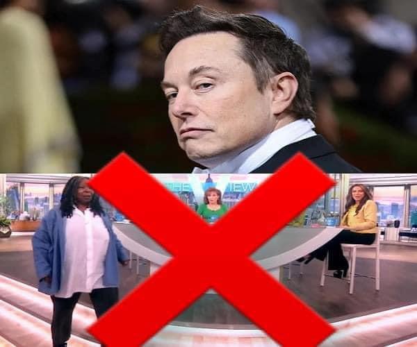 Elon Musk Fires Entire Cast of “The View ” After Acquiring AB