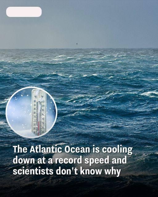 The Atlantic Ocean is cooling down at a record speed and scientists don’t know why